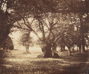 Hohle Eiche, Fontainebleau, 1855-57
