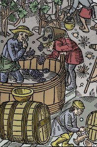 Ernte - Weinlese - Schäferkalender - Die Arbeiten der Monate - Oktober - Holzschnitt aus dem Buch von 1496, gedruckt von Guy Marchant (Guido Mercator) in Troyes - Holzgravur in "Le grand Calendrier et compost des shepherds" - Die Ernte - und die von Guy Marchant