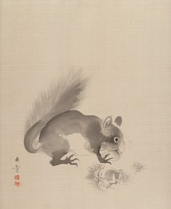 Eichhörnchen isst Kastanien