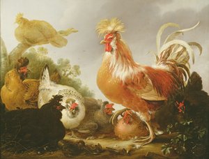 Hahn und Hennen in einer Landschaft, 1649 von Gysbert Hondecoeter