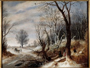 Schneelandschaft