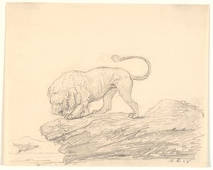 Ein Löwe auf einem Felsen. Er schaut einem vorbeifliegenden Vogel nach von H.W. Bissen