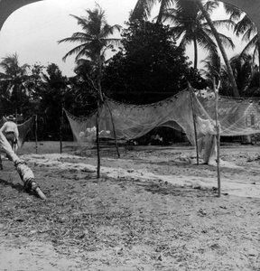 Fischer trocknen ihre Netze am Strand, Basseterre, St. Christopher, Westindische Inseln