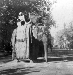 Ein Elefant vor dem Bahnhof in Delhi, Indien, 1900er Jahre