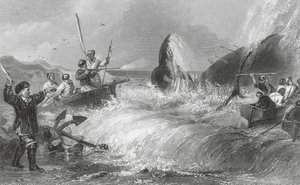 Der Wal an Land (Gravur) von H. Melville
