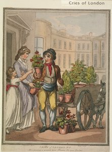 Alles wächst, wächst, hier sind Blumen für Ihre Gärten, Platte VI von Cries of London, 1799 von H Merke