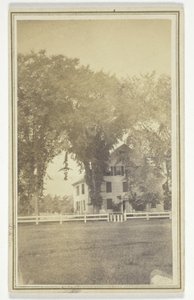 Miss Browns Haus und das seltsame Ulmenkreuz von H. O. Bly