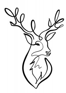 Elegante Linienhirsch