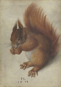 Wee Blue Coo Geburtstagskarte Mit Niedlichem Eichhörnchen-Foto – 17,5 X 12,5 Cm