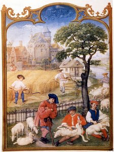 Feldarbeit, Schafe scheren und Bauern mähen Weizen. Miniatur zugeschrieben an Memling. Platte aus dem Breviaire Grimani des 15. Jahrhunderts. Biblioteca Marciana, Venedig