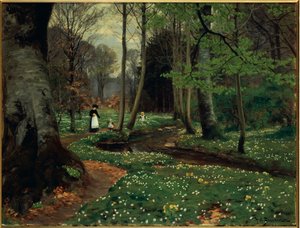 Der Waldweg