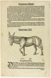 Illustration aus "Thierbuch", Tafel 42 aus Holzschnitten aus Büchern des XVI. Jahrhunderts