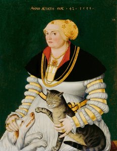 Porträt von Cleophea Holzhalb, geb. Krieg von Bellikon von Asper, Hans (1499-1571). Öl auf Holz von Hans Asper