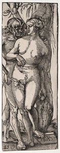 Adam und Eva von Hans Baldung