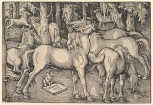 Gruppe von sieben Pferden, 1534 von Hans Baldung