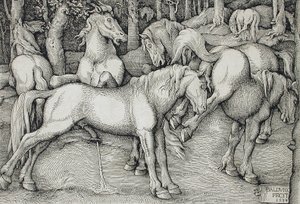  von Hans Baldung Grien