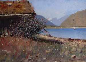 Aus Balestrand