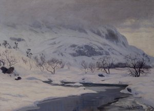Berglandschaft im Winter