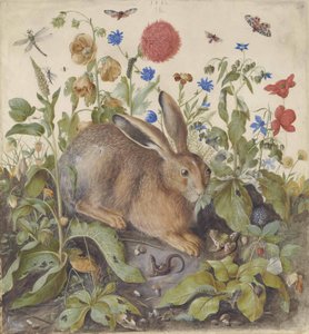 Ein Hase unter Pflanzen, 1582