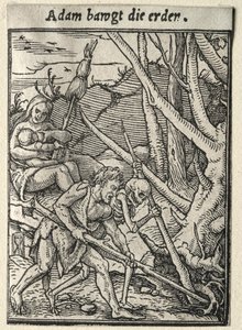 Totentanz: Adam pflügt das Feld
