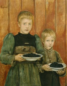 Blaubeere 1899-1900