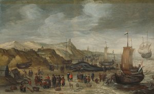 Ein Pottwal am Strand von Noordwijk, 28. Dezember 1614