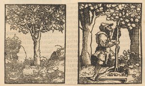 Baum und Darstellung eines Obstpflückers zwischen Bäumen von Hans Schäufelein (possibly)