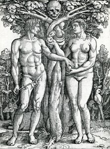 Der Sündenfall von Adam und Eva, c.1525-27 von Hans Sebald Beham