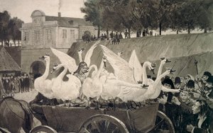 Wilde Schwäne, Illustration von Hans Tegner (1853-1932) für Märchen von Hans Christian Andersen (1805-1875) von Hans Tegner