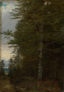 Buche am Waldrand von Hans Thoma