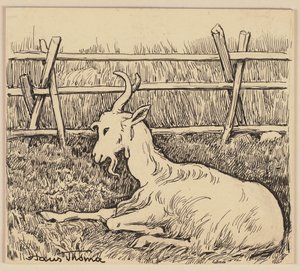 Zeichnung für das Lesebuch: Ziege von Hans Thoma