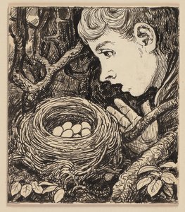 Zeichnung für die Fibel: Nest von Hans Thoma
