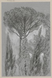 Bäume in Florenz von Hans Thoma