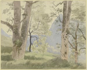 Schwarzwaldlandschaft: Blick vom Waldesrand auf die Berge von Hans Thoma