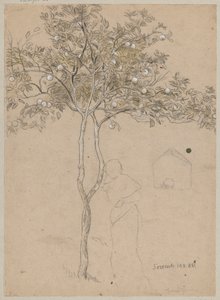 Studie eines Orangenbaums aus der Umgebung von Sorrent. Skizze einer weiblichen Figur von Hans Thoma