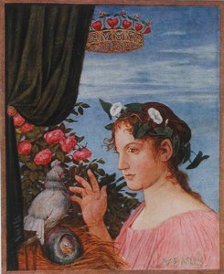 Venus, Illustration aus 