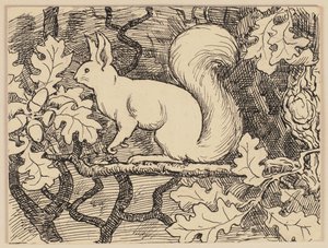 Zeichnung zur Fibel: Eichhörnchen von Hans Thoma