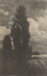 Camera Work: Pappeln und Wolken, 1906