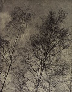 ... ihr Charme ist entlang eines flüssigen Himmels geschrieben, Robert Bridges