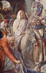 Neues Testament: "Hosanna dem Sohn Davids"
