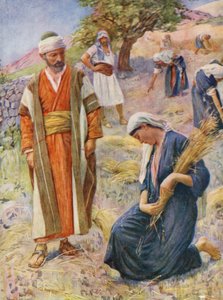 Altes Testament: Ruth sammelte auf dem Feld