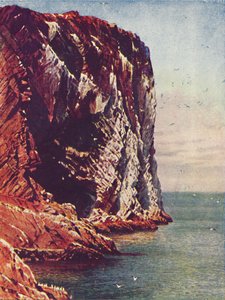 Bass Rock, 1910