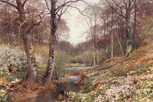 Frühlingsblüten, nahe Dorking