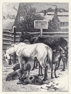 Tiere im Pferch