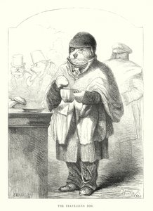 Lustige Hunde: Der reisende Hund von Harrison William Weir
