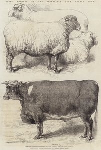 Preisgekrönte Tiere auf der Smithfield Club Viehschau von Harrison William Weir