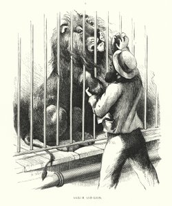 Matrose und Löwe (Gravur) von Harrison William Weir