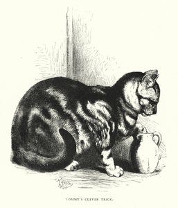 Tommys cleverer Trick (Stich) von Harrison William Weir