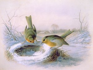 Nest vom letzten Jahr, 1886 von Harry Bright