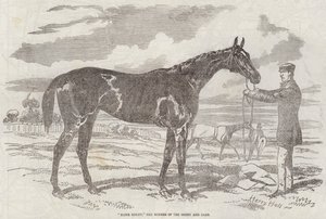 Blink Bonny, der Gewinner des Derbys und der Oaks
